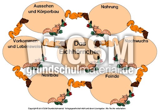 Mindmap-Eichhörnchen-4.pdf